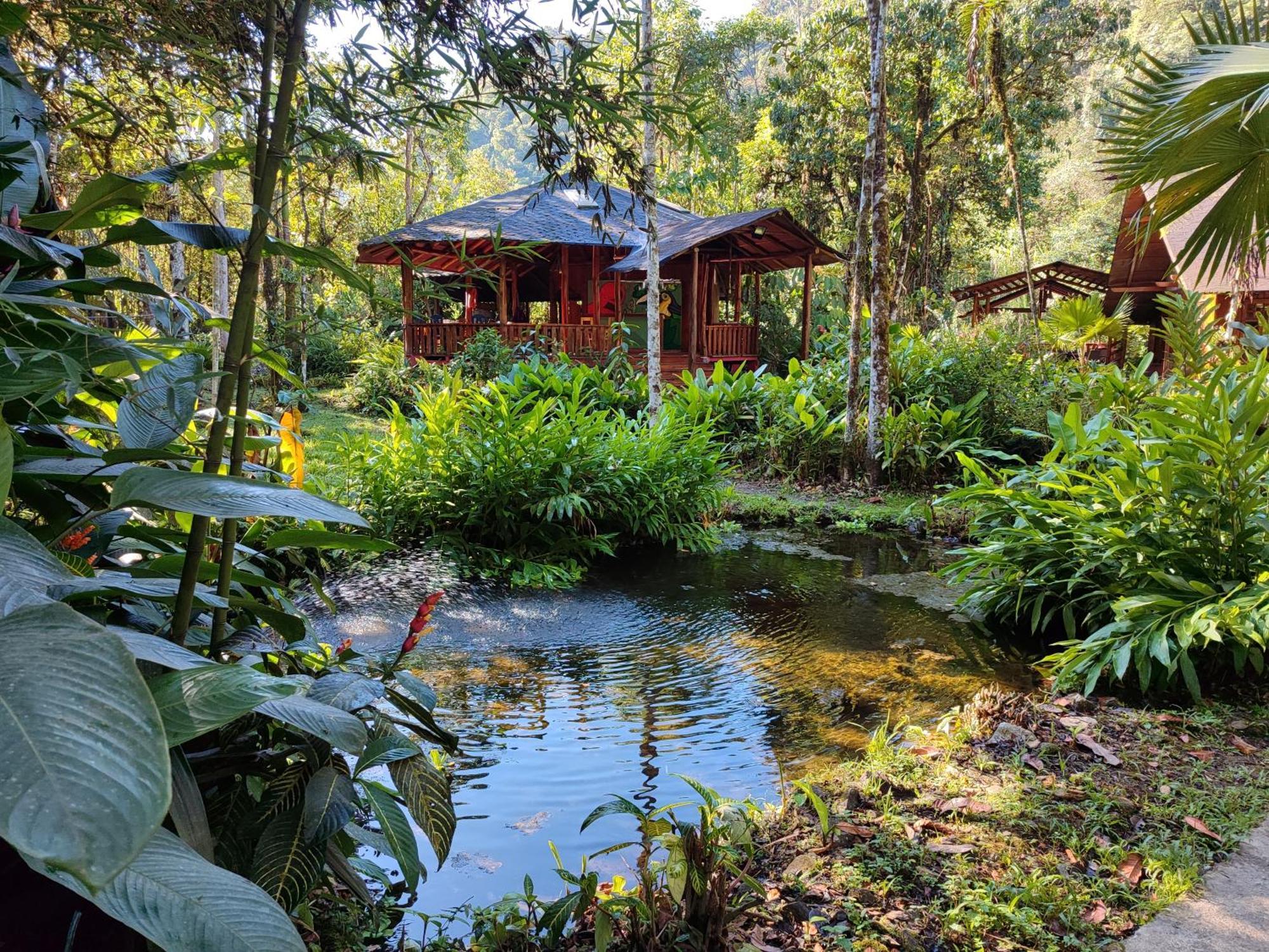 Mindo Garden Lodge And Wildlife Reserve Εξωτερικό φωτογραφία